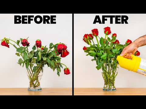 Approach How Can I Protect A Bouquet Of Flowers For Two Days Earlier Than Gifting Them? Gardening & Landscaping Stack Trade